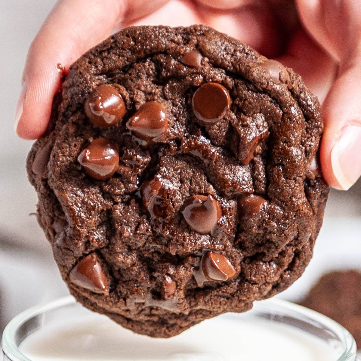 Chocolate Delight Biscuits